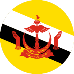 Sultanate flag